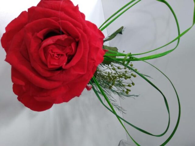 Florista D-Coração - Florista Online Porto - Decoração - Eventos - Flores - Rosa - Flores dia da mãe