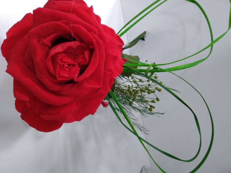 Florista D-Coração - Florista Online Porto - Decoração - Eventos - Flores - Rosa - Flores dia da mãe